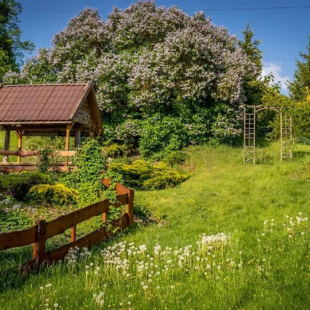 Ranczo Ponderosa Mazury